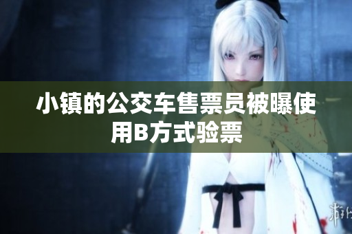 小镇的公交车售票员被曝使用B方式验票