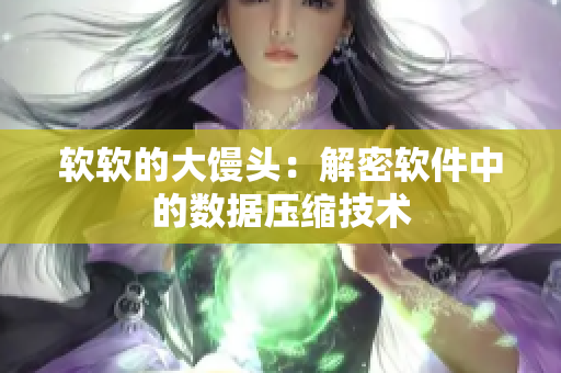软软的大馒头：解密软件中的数据压缩技术